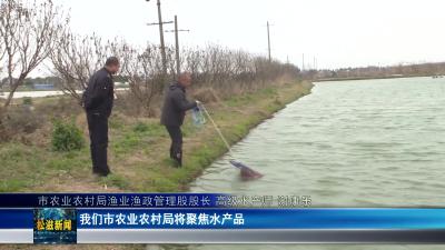 【部门动态】市农业农村局开展重点水产品质量安全监管专项检查（20250221）