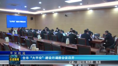 【平安松滋】全市“大平安”建设月调度会议召开（20250224）