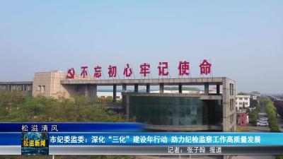 【松滋清风】市纪委监委：深化“三化”建设年行动 助力纪检监察工作高质量发展（20250227）