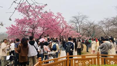 牢记嘱托 建成支点·市州委书记说④丨锚定世界级，迈向万亿级