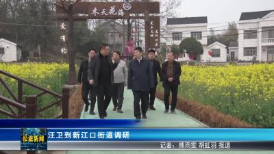 汪卫到新江口街道调研（20250313）