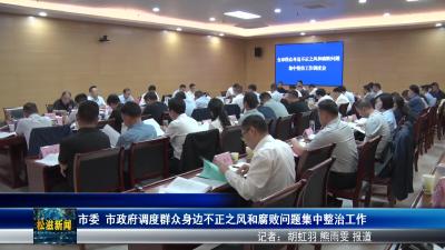 市委 市政府调度群众身边不正之风和腐败问题集中整治工作（20250427）