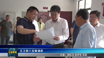 汪卫到八宝镇调研（20250421）