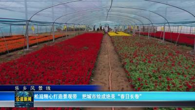 【乐乡风景线】松滋精心打造景观带  把城市绘成绝美“春日长卷”（20250430）