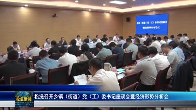 松滋召开乡镇（街道）党（工）委书记座谈会暨经济形势分析会（20250427）