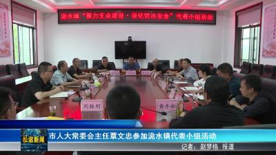 市人大常委会主任覃文忠参加洈水镇代表小组活动（20250509）