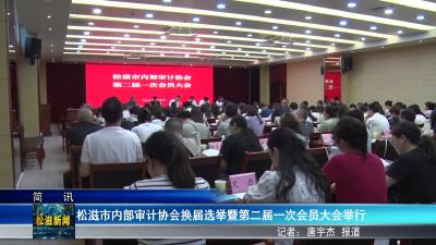松滋市内部审计协会换届选举暨第二届一次会员大会举行（20250526）