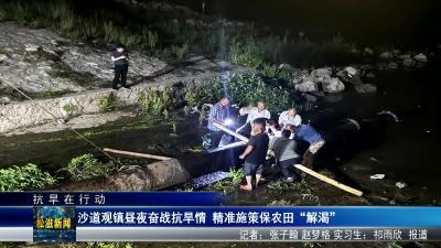 【抗旱在行动】沙道观镇昼夜奋战抗旱情  精准施策保农田“解渴”（20250523）