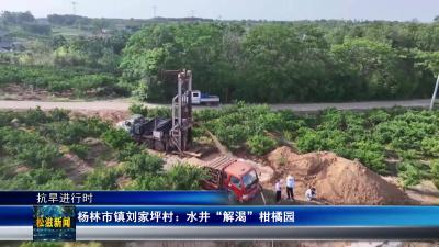 【抗旱进行时】杨林市镇刘家坪村： 水井“解渴”柑橘园（20250521）