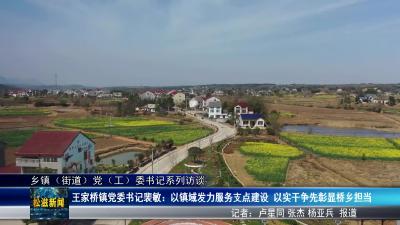 【乡镇（街道）党（工）委书记系列访谈】王家桥镇党委书记裴敏：以镇域发力服务支点建设  以实干争先彰显桥乡担当（20250508）