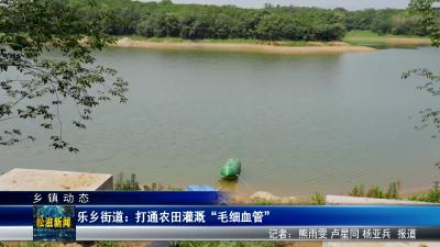 【乡镇动态】乐乡街道：打通农田灌溉“毛细血管”（20250529）