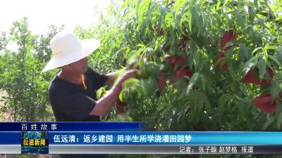 【百姓故事】伍远清：返乡建园  用半生所学浇灌田园梦（20250526）