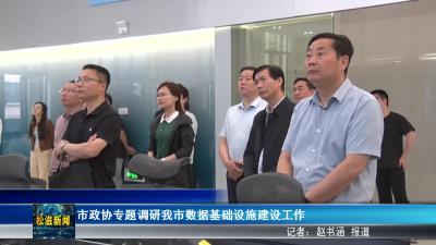 市政协专题调研我市数据基础设施建设工作（20250516）