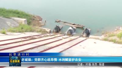 【抗旱进行时】老城镇：党群齐心战旱情  水利赋能护农安（20250530）