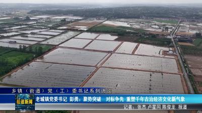 【乡镇（街道）党（工）委书记系列访谈】老城镇党委书记 彭勇：聚势突破  对标争先 重塑千年古治经济文化新气象（20250514）