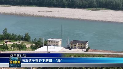 【抗旱在行动】南海镇多管齐下解田 “渴”（20250520）