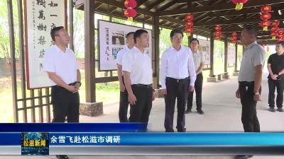 余雪飞赴松滋市调研（20250508）