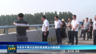 市政协开展河流堤防隐患整治专题视察（20250528）