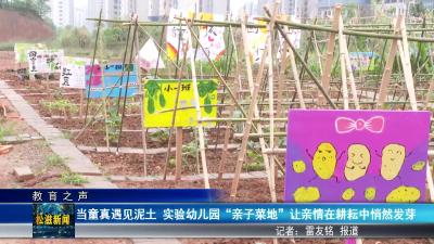 【教育之声】当童真遇见泥土  实验幼儿园 “亲子菜地” 让亲情在耕耘中悄然发芽（20250527）