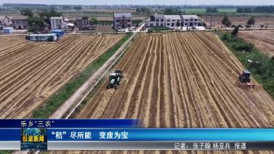 【乐乡“三农”】“秸”尽所能  变废为宝（20250526）