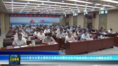 2025年度市安委会第四次全体会议暨安全生产治本攻坚三年行动调度会召开（20250507）