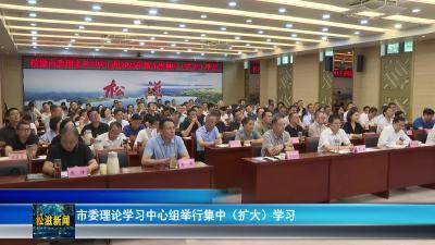 市委理论学习中心组举行集中（扩大）学习（20250528）