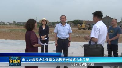 市人大常委会主任覃文忠调研老城镇农业发展（20250508）