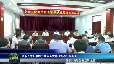 全市支持卸甲坪土家族乡发展现场办公会召开（20250506）