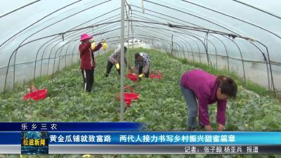 【乐乡三农】黄金瓜铺就致富路   两代人接力书写乡村振兴甜蜜篇章（20250521）