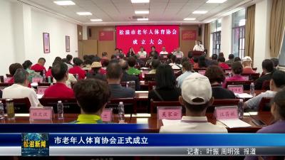 市老年人体育协会正式成立（20250519）