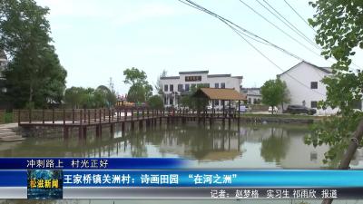 【冲刺路上  村光正好】王家桥镇关洲村：诗画田园  “在河之洲”（20250605）