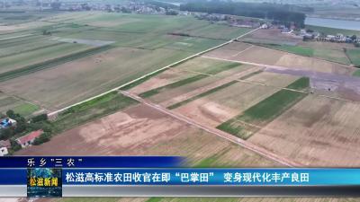 【乐乡“三农”】松滋高标准农田收官在即 “巴掌田” 变身现代化丰产良田（20250624）
