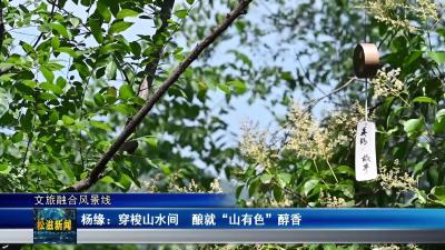【文旅融合风景线】杨缘：穿梭山水间  酿就 “山有色” 醇香（20250625）