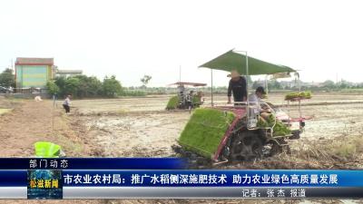 【部门动态】市农业农村局：推广水稻侧深施肥技术  助力农业绿色高质量发展（20250604）