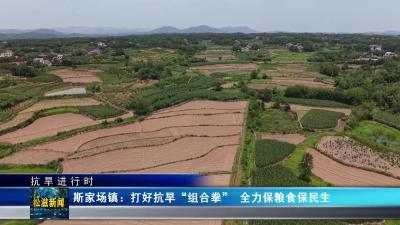 【抗旱进行时】斯家场镇：打好抗旱“组合拳”  全力保粮食保民生（20250618）