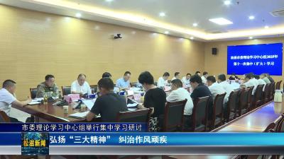 市委理论学习中心组举行集中学习研讨（20250613）