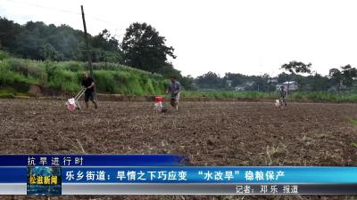 【抗旱进行时】乐乡街道：旱情之下巧应变  “水改旱”稳粮保产（20250617）