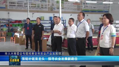 市人大常委会专题视察全市农业产业发展情况（20250625）