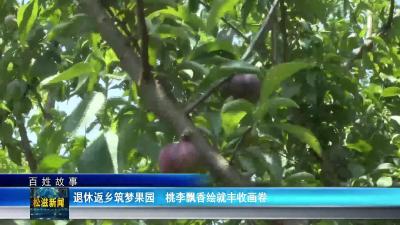 【百姓故事】退休返乡筑梦果园  桃李飘香绘就丰收画卷（20250625）