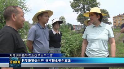 刘艳调研指导农业抗旱生产工作（20250613）
