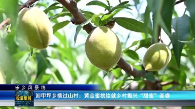 【乐乡风景线】卸甲坪乡横过山村：黄金蜜桃绘就乡村振兴“甜蜜”画卷（20250624）