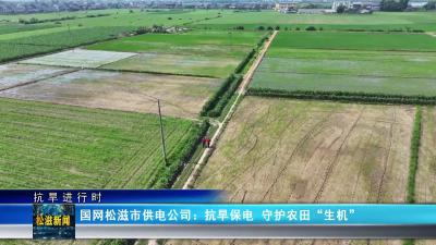 【抗旱进行时】国网松滋市供电公司：抗旱保电  守护农田“生机”（20250617）
