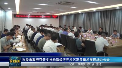 市委市政府召开支持松滋经济开发区高质量发展现场办公会（20250627）