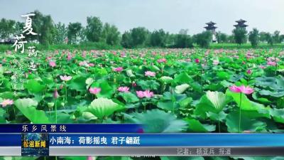 【乐乡风景线】小南海：荷影摇曳  君子翩跹（20250612）