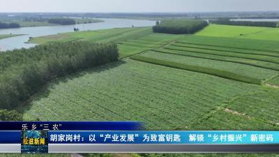 【乐乡“三农”】胡家岗村：以“产业发展”为致富钥匙  解锁“乡村振兴”新密码（20250723）
