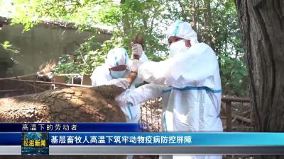 【高温下的劳动者】基层畜牧人高温下筑牢动物疫病防控屏障（20250728）