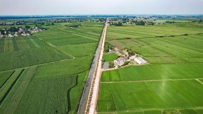 锚定千亿新目标 冲刺全国百强县 | 项目一线 | 这条乡镇干道八月底通车