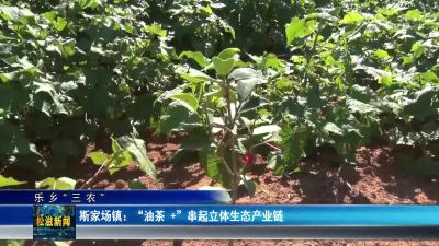 【乐乡“三农”】斯家场镇：“油茶 +” 串起立体生态产业链（20250709）