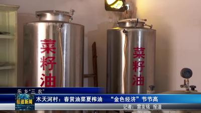 【乐乡“三农”】木天河村：春赏油菜夏榨油  “金色经济” 节节高（20250722）