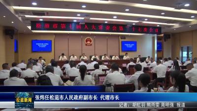 张炜任松滋市人民政府副市长  代理市长（20250731）